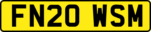 FN20WSM
