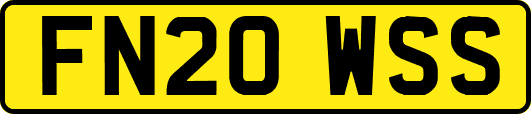 FN20WSS