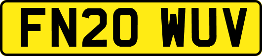 FN20WUV
