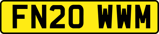 FN20WWM