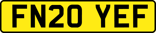 FN20YEF