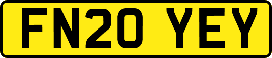 FN20YEY