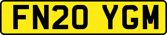 FN20YGM