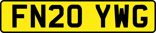 FN20YWG