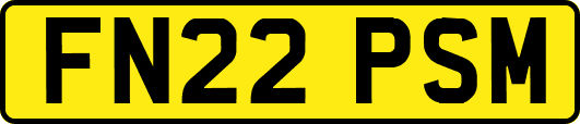 FN22PSM