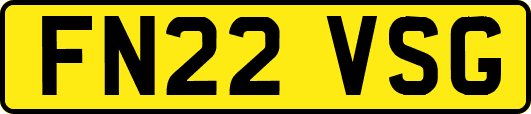 FN22VSG