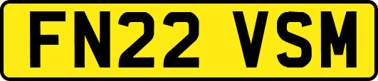 FN22VSM
