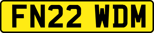 FN22WDM