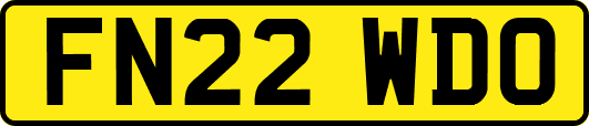 FN22WDO