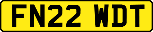 FN22WDT