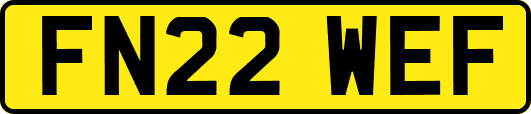 FN22WEF