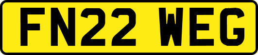 FN22WEG