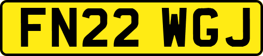 FN22WGJ
