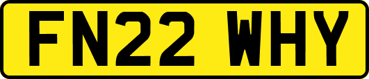 FN22WHY