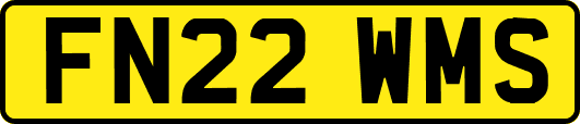 FN22WMS