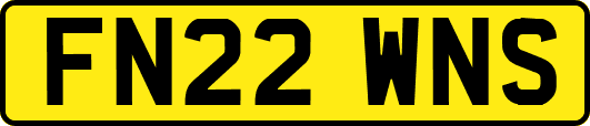 FN22WNS