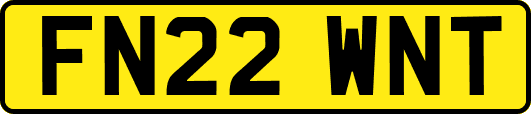 FN22WNT