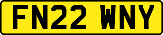 FN22WNY