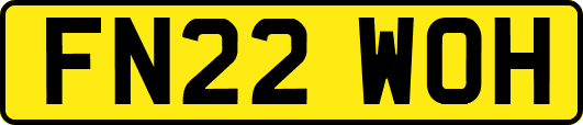 FN22WOH