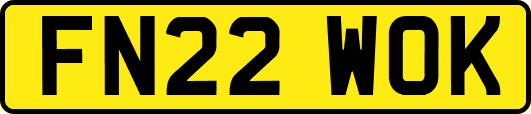 FN22WOK