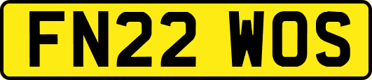 FN22WOS