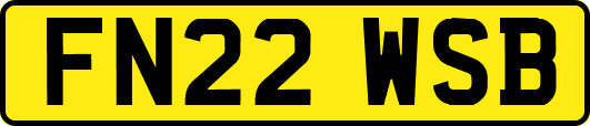 FN22WSB