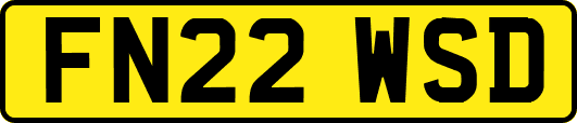 FN22WSD