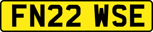 FN22WSE