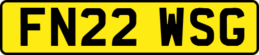 FN22WSG