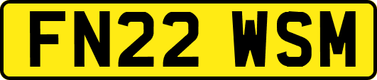FN22WSM