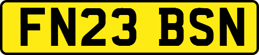 FN23BSN
