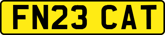 FN23CAT