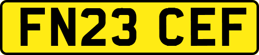 FN23CEF