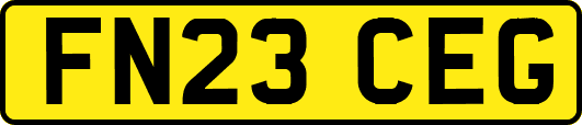 FN23CEG