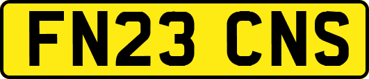 FN23CNS