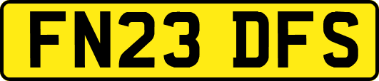 FN23DFS