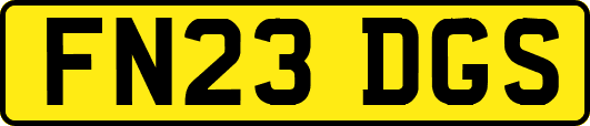 FN23DGS