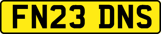 FN23DNS
