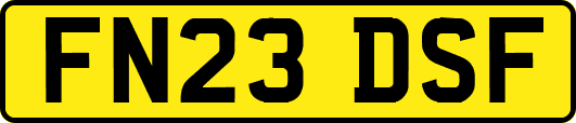 FN23DSF