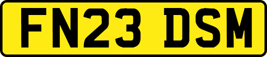 FN23DSM