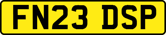 FN23DSP