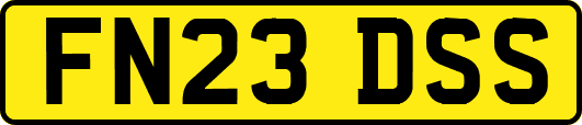 FN23DSS