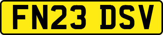 FN23DSV