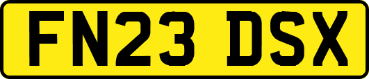 FN23DSX