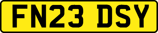 FN23DSY