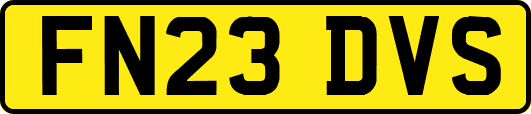 FN23DVS