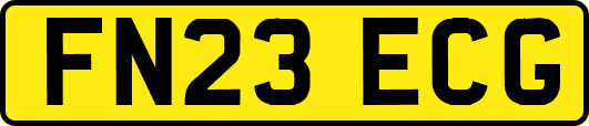 FN23ECG