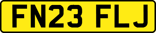 FN23FLJ