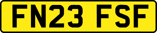 FN23FSF