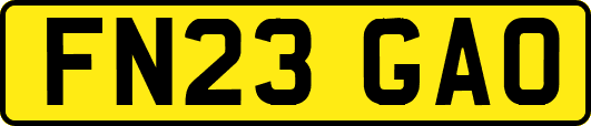 FN23GAO
